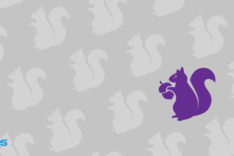 Purple Squirrel graphic-01 top Baltimore recruiters purple squirrel
