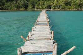 bridge wooden log bridge over blue water