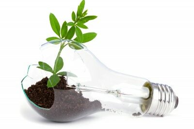 creativelightbulb lightbulb cracked with dirt and plant growing out of it