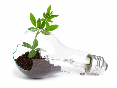 creativelightbulb lightbulb cracked with dirt and plant growing out of it