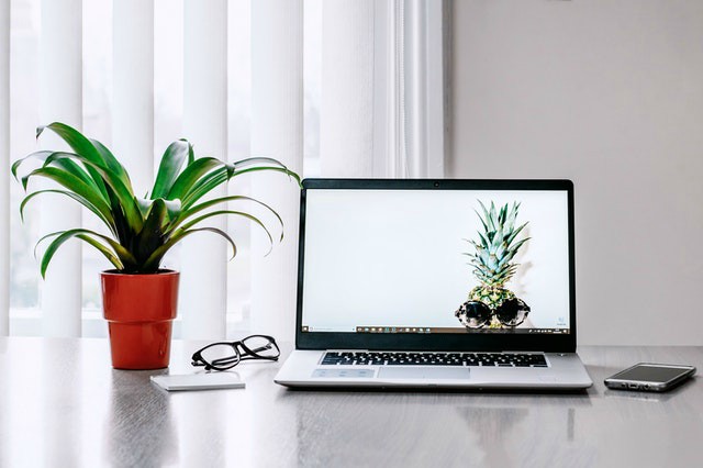 strong and sustainable workforce desk with plant and computer sustainable workforce