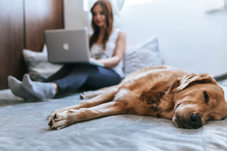 woman-working-from-home-with-dog woman working from home with her pet