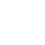 savings_white icon of a piggy bank