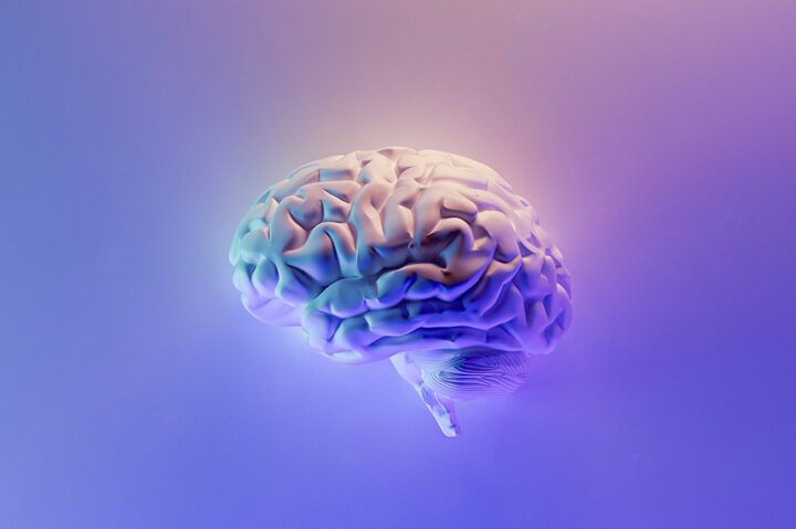 personality-type-at-work-brain-image Image of a brain on a pink and purple background