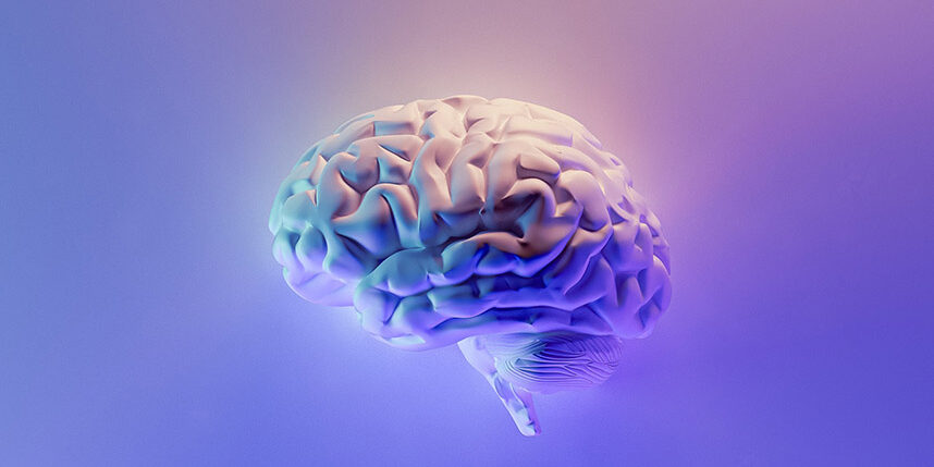 personality-type-at-work-brain-image Image of a brain on a pink and purple background