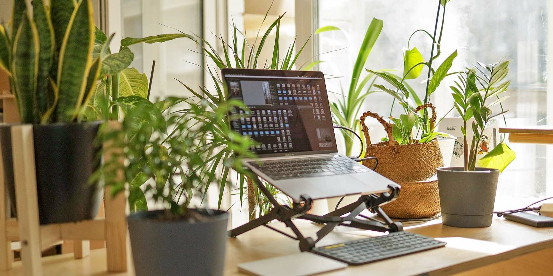 Optimize remote job search Optimize remote job search work from home set up